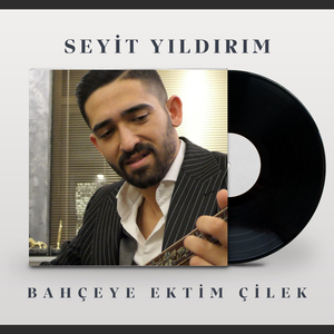 Bahçeye Ektim Çilek