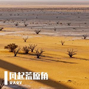 风起荒原角