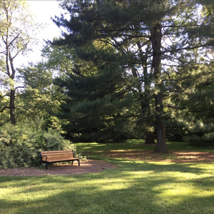 Journey to Final Space