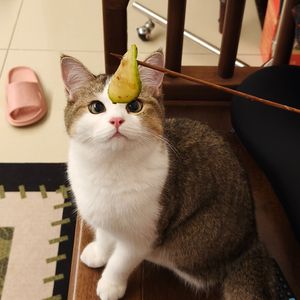 西乡塘瓦
