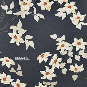 Spinning Rabbit (Herck Remix)