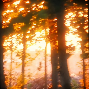 日子