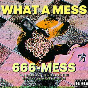 What a mess (feat. Young Matt)