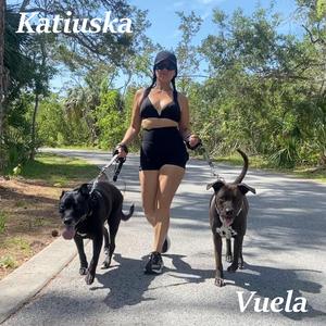 Vuela