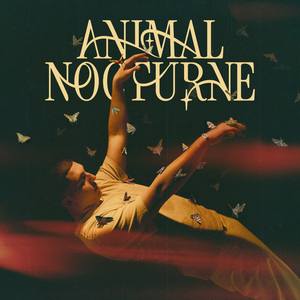 ANIMAL NOCTURNE