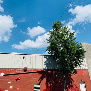 Between Manhattan and Brooklyn