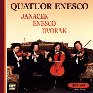 Georges Enesco - Quatuor en sol majeur, Op. 22 No. 2:Con molto moderato, energico
