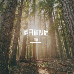 离开你以后