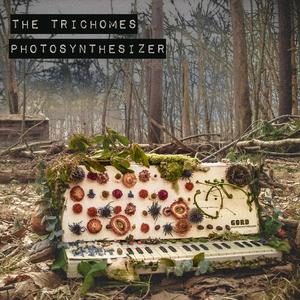 Danny Danko, Pt. 2 (feat. Gavin Gebhardt & Andrew Emanuel)