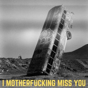 I Motherf****ng Miss You
