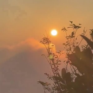 秋日南风cover陈鸿宇