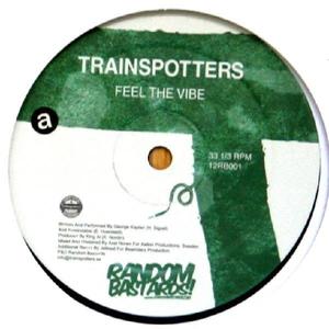 Feel The Vibe (12 inch single)