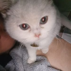 月下男freestyle（prod.Lp）