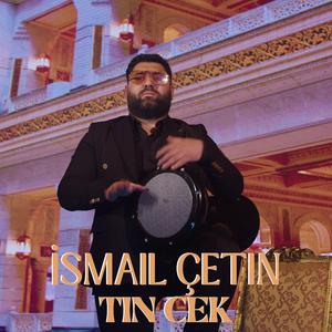 Tin Cek