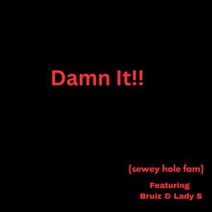 Damn It!!! (feat. Bruiz & Lady S)