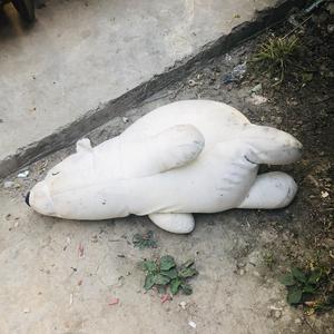 堕落
