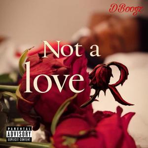Not A Lover
