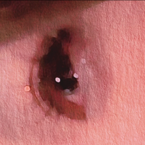 不想写情歌-Demo