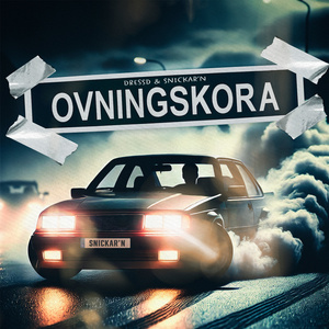 Ovningskora