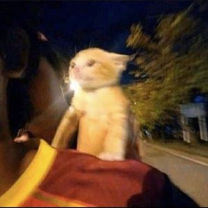 Screenrecording_20231102_182218