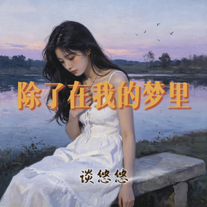 除了在我的梦里