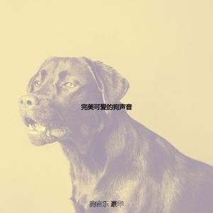 温和孤独的狗梦想