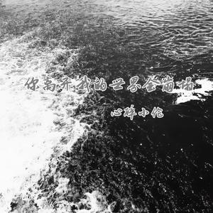 我再怎么说也是个西洋武士