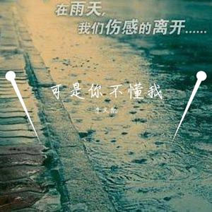 可是你不懂我 伴奏
