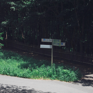 それでも僕らは