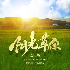阳光草原