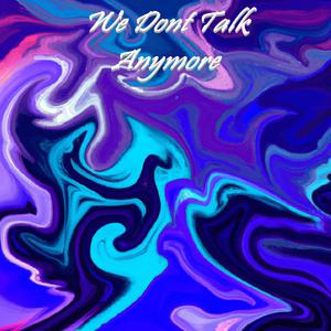 We Dont Talk Anymore