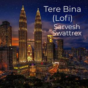 Tere Bina (Lofi)