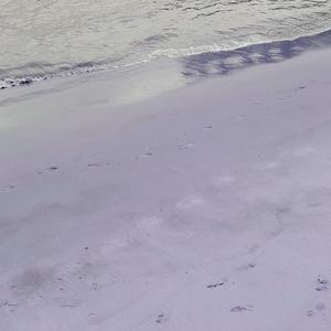 Hotel Leningradskaya