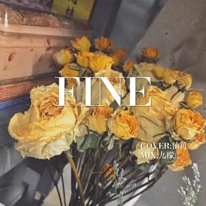 Fine