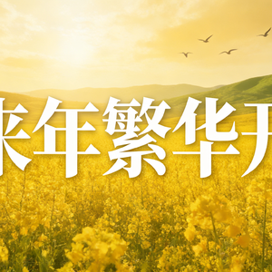 繁花开
