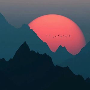 越打越年轻&叮咚鸡&抒情