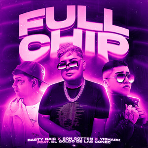 Full Chip