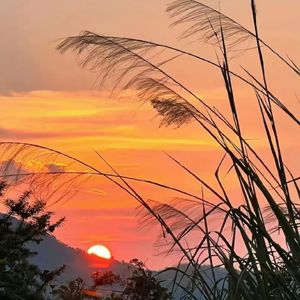 平芜尽处是春山