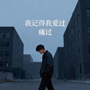 我记得我爱过 痛过