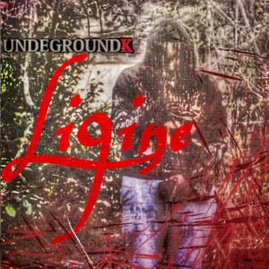 The biggest (feat. Li9ine)