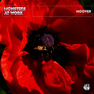 Hoover (Original Mix)