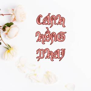 Cánh Hồng Phai Nghe Là Mê (Không Lời)