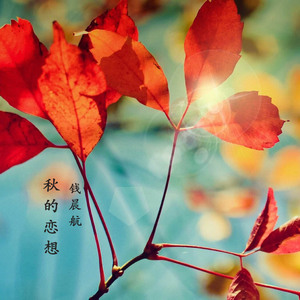秋的恋想