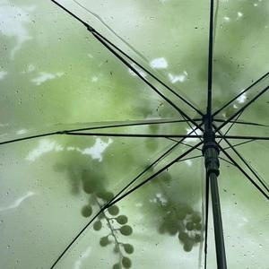 不要忘记我爱你