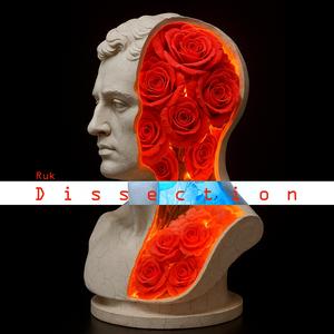 Dissection