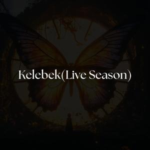 Kelebek(Live Season)