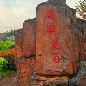 一生相爱到今天(广场舞版）