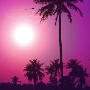 "Sunset"(Emo rap type beat)