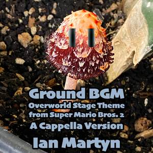 Ground BGM — Overworld Stage Theme (from "Super Mario Bros. 2") (A Cappella Version)
