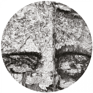 Jack & His Magic Beans